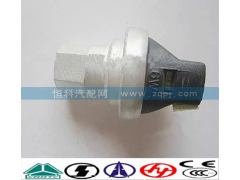 WG1200190040,空濾器堵塞開關(guān),濟(jì)南嘉磊汽車配件有限公司(原濟(jì)南瑞翔)
