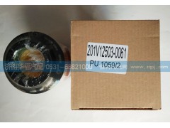 201V12503-0061,柴油濾芯,濟(jì)南龍都汽車配件有限公司