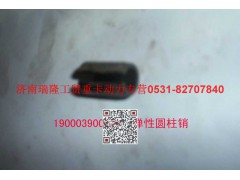 90003900085,彈性圓柱銷,濟(jì)南瑞隆工貿(mào)重卡動(dòng)力專營(yíng)