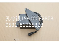 1019032K,后置油門傳感器P12發(fā)動(dòng)機(jī),濟(jì)南隆旭汽車配件有限公司