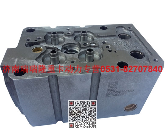 AZ1246040010D,氣缸蓋總成（D12）,濟(jì)南瑞隆工貿(mào)重卡動力專營