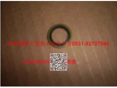 VG2600080200,密封墊圈,濟南瑞隆工貿(mào)重卡動力專營