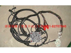 VG1096090009,線(xiàn)束總成,濟(jì)南瑞隆工貿(mào)重卡動(dòng)力專(zhuān)營(yíng)
