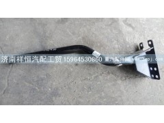 SZ123000830,左后葉子板總成,濟南祥恒汽配工貿(mào)有限公司