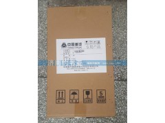 WG9725190102,空氣濾芯,濟(jì)南約書(shū)亞汽車配件有限公司（原華魯信業(yè)）