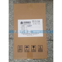WG9725190102空氣濾芯