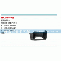 腳踏板81615100570，81615100572