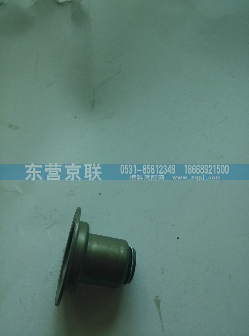 VG1246050167,氣門護套,東營京聯(lián)汽車銷售服務(wù)有限公司