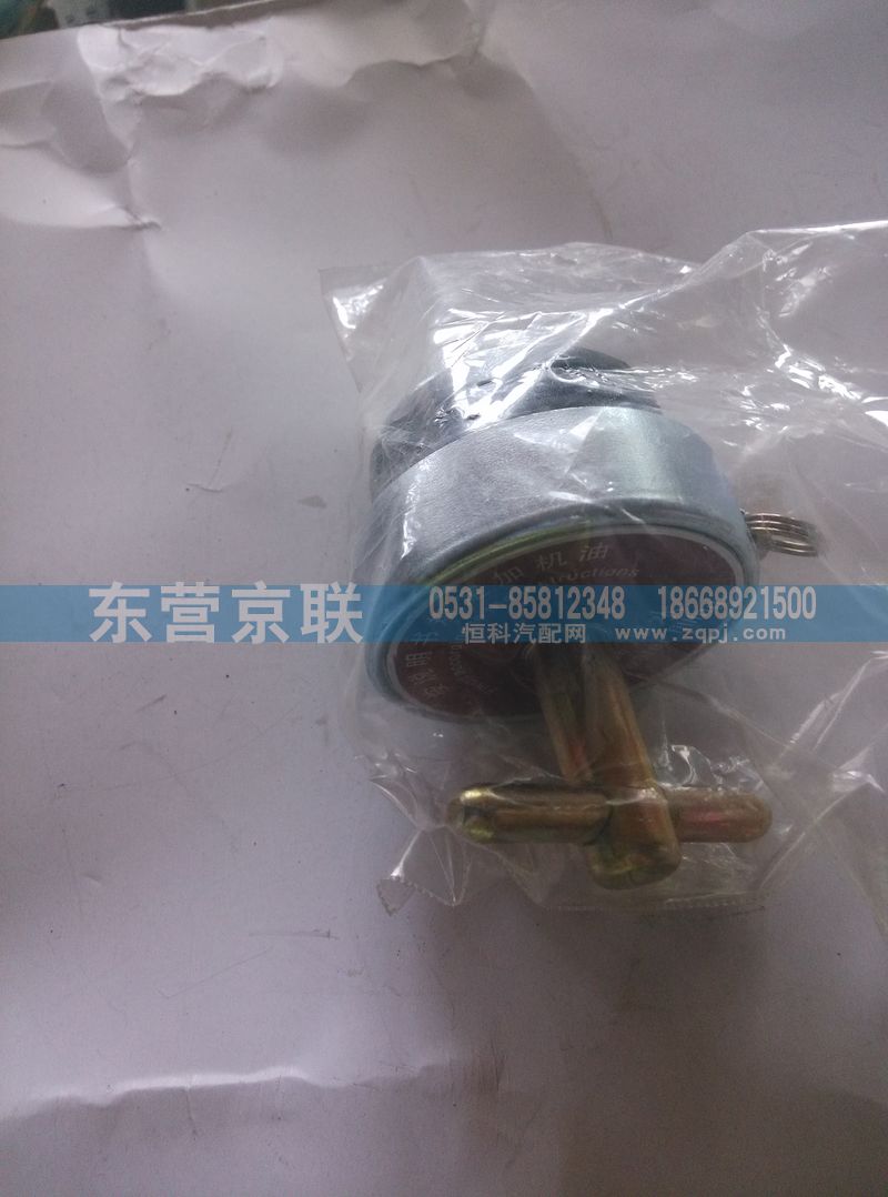 WG2600010489,加油管總成,東營(yíng)京聯(lián)汽車銷售服務(wù)有限公司