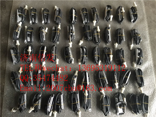 WG1034121032 NOX氮氧化物傳感器濟(jì)南信發(fā)/WG1034121032