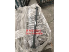 WG9725931060,前懸置穩(wěn)定桿總成,濟(jì)南易辰動(dòng)力汽車配件公司