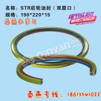 濟南秦燕STR后輪油封90003078957雙層口