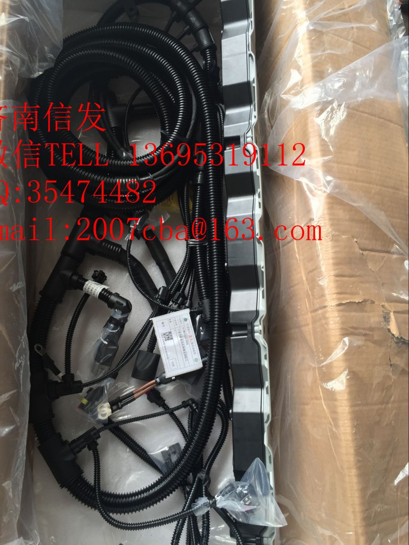 812W25424-6365重汽T7H發(fā)動(dòng)機(jī)線(xiàn)束/812W25424-6365重汽T7H發(fā)動(dòng)機(jī)線(xiàn)束
