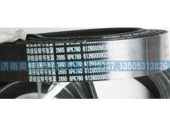 612600090201,皮帶8PK790,濟(jì)南國(guó)盛汽車配件有限公司(原奧誠(chéng))