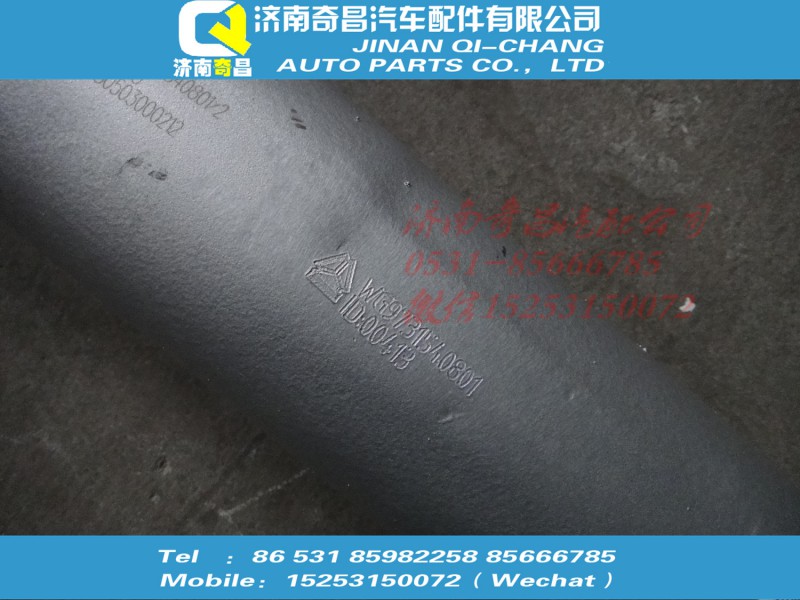 WG9731540801,金屬軟管_帶尿素噴嘴座,濟(jì)南奇昌汽車配件有限公司