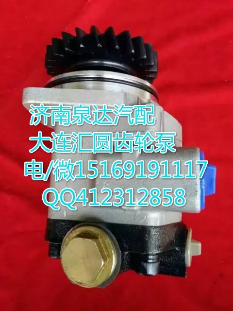 H0340030012A0,轉(zhuǎn)向巨力泵/齒輪泵,濟南泉達汽配有限公司