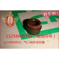 供VG1540040016重汽豪沃斯太爾金王子發(fā)動(dòng)機(jī)氣門油封