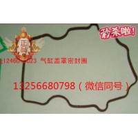 供VG1246040023重汽豪沃斯太爾發(fā)動機氣缸蓋罩密封圈