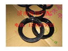 DZ95129320087,貫通軸油封,濟南海瑞重型汽車經(jīng)銷中心