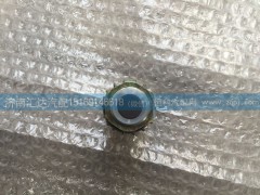DZ93189582550,陜汽德龍制動(dòng)開(kāi)關(guān) 后制動(dòng)燈開(kāi)關(guān) 剎車燈開(kāi)關(guān),濟(jì)南匯達(dá)汽配銷售中心