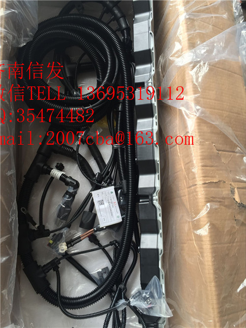 812W25424-6365重汽T7H發(fā)動(dòng)機(jī)線束,812W25424-6365重汽T7H發(fā)動(dòng)機(jī)線束,濟(jì)南信發(fā)汽車(chē)配件有限公司