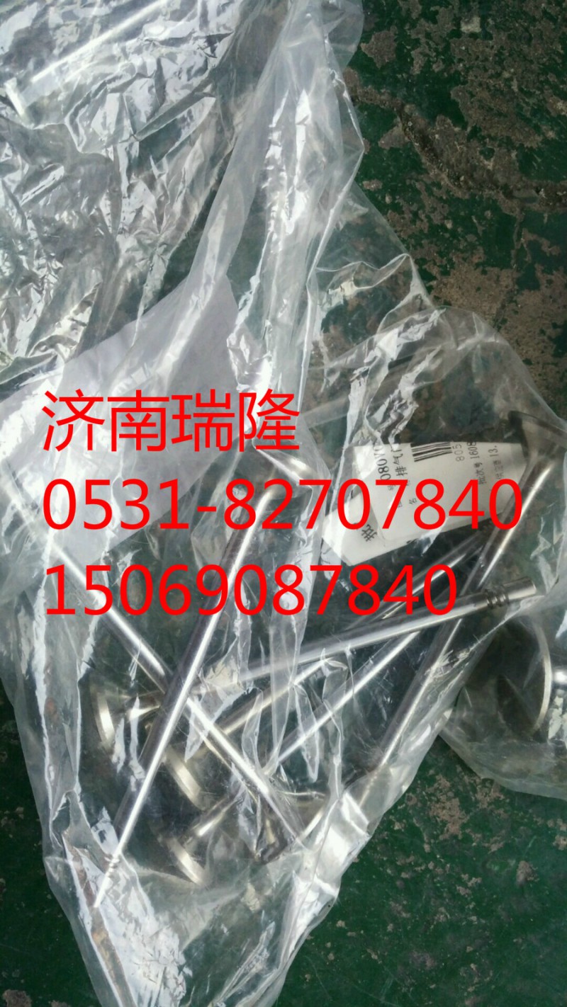 080V04101-0538,排氣門,濟(jì)南瑞隆工貿(mào)重卡動(dòng)力專營