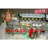 供應(yīng)VG1092080120重汽豪沃斯太爾發(fā)動機噴油泵總成