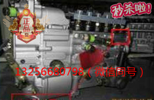 VG1093080180,發(fā)動機噴油泵總成,濟南凱爾特商貿(mào)有限公司