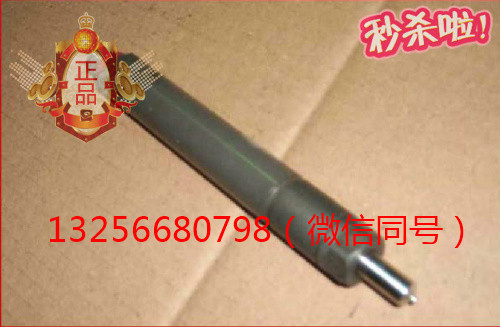 供應(yīng)VG1560080276重汽豪沃斯太爾發(fā)動機噴油器總成/VG1560080276
