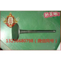 供應(yīng)VG1096050015重汽豪沃斯太爾金王子發(fā)動(dòng)機(jī)進(jìn)氣門