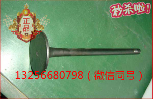 VG1096050015,發(fā)動(dòng)機(jī)進(jìn)氣門(mén),濟(jì)南凱爾特商貿(mào)有限公司