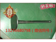 VG1096050015,發(fā)動(dòng)機(jī)進(jìn)氣門(mén),濟(jì)南凱爾特商貿(mào)有限公司