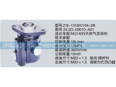 34.2D-09010-A01,轉(zhuǎn)向泵,濟(jì)南泉達(dá)汽配有限公司