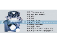 1310134M0003,轉(zhuǎn)向泵,濟(jì)南泉達(dá)汽配有限公司