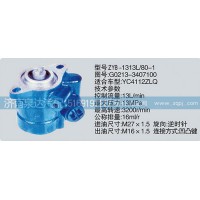 G0213-3407100轉(zhuǎn)向泵濟(jì)南泉達(dá)汽配