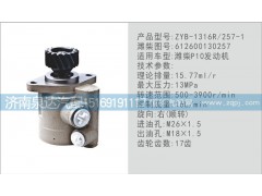 612600130257,轉(zhuǎn)向泵,濟南泉達汽配有限公司