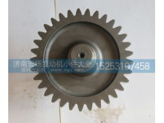 VG1500019015A,輸出齒輪,濟南耀順汽車配件有限公司（重汽、濰柴發(fā)動機小件專賣）