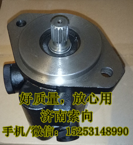 13030284,助力泵/葉片泵/齒輪泵,濟南索向汽車配件有限公司