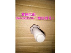 ,平衡軸蓋板螺栓,濟南翥楠汽車配件有限公司