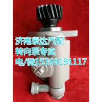陜汽奧龍/德龍轉(zhuǎn)向助力葉片泵DZ9100130045