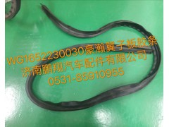 WG1652230030,豪瀚翼子板膠條,濟南鵬翔汽車配件有限公司