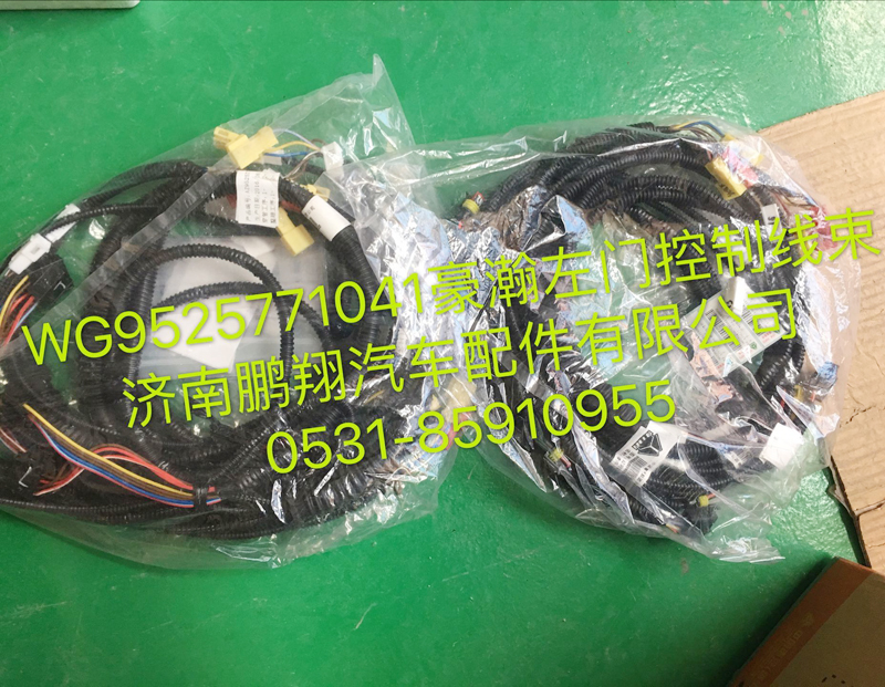 WG9525771041,豪瀚左車(chē)門(mén)線束,濟(jì)南鵬翔汽車(chē)配件有限公司