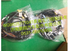 WG9525771041,豪瀚左車(chē)門(mén)線束,濟(jì)南鵬翔汽車(chē)配件有限公司
