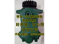 3407020-390,助力泵/葉片泵/齒輪泵/轉(zhuǎn)子泵,濟(jì)南正宸動(dòng)力汽車零部件有限公司