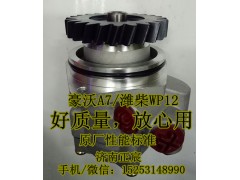 5204600080,轉(zhuǎn)向助力泵/齒輪泵/巨力泵,濟(jì)南正宸動力汽車零部件有限公司