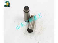 79001545,美馳輪邊行星齒輪軸,山東三和重工股份有限公司