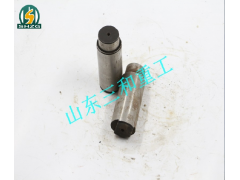 79001545,美馳輪邊行星齒輪軸,山東三和重工股份有限公司