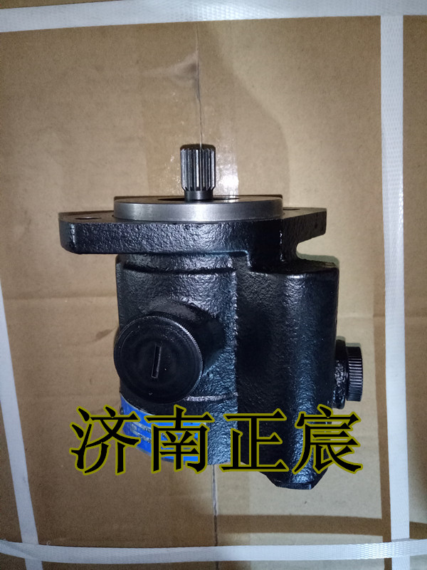 3407020-85D,助力泵/葉片泵/齒輪泵/轉(zhuǎn)子泵,濟(jì)南正宸動力汽車零部件有限公司