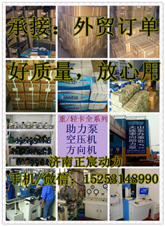 341AAA0000,助力泵/葉片泵/齒輪泵,濟(jì)南正宸動(dòng)力汽車(chē)零部件有限公司