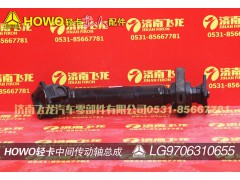 LG9706310655,中間傳動軸總成,濟(jì)南飛龍汽車零部件有限公司